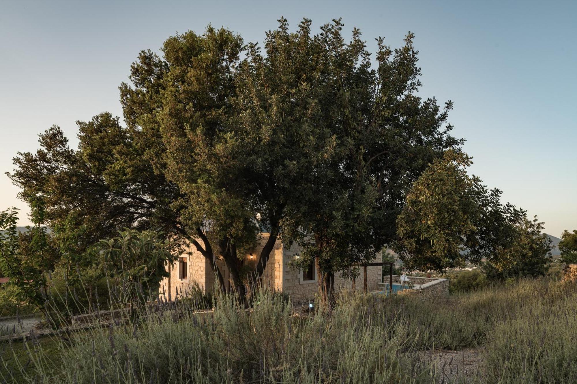 Koules Estate, With Private Pools & Bbq - Embracing Nature, By Thinkvilla Argouli 部屋 写真
